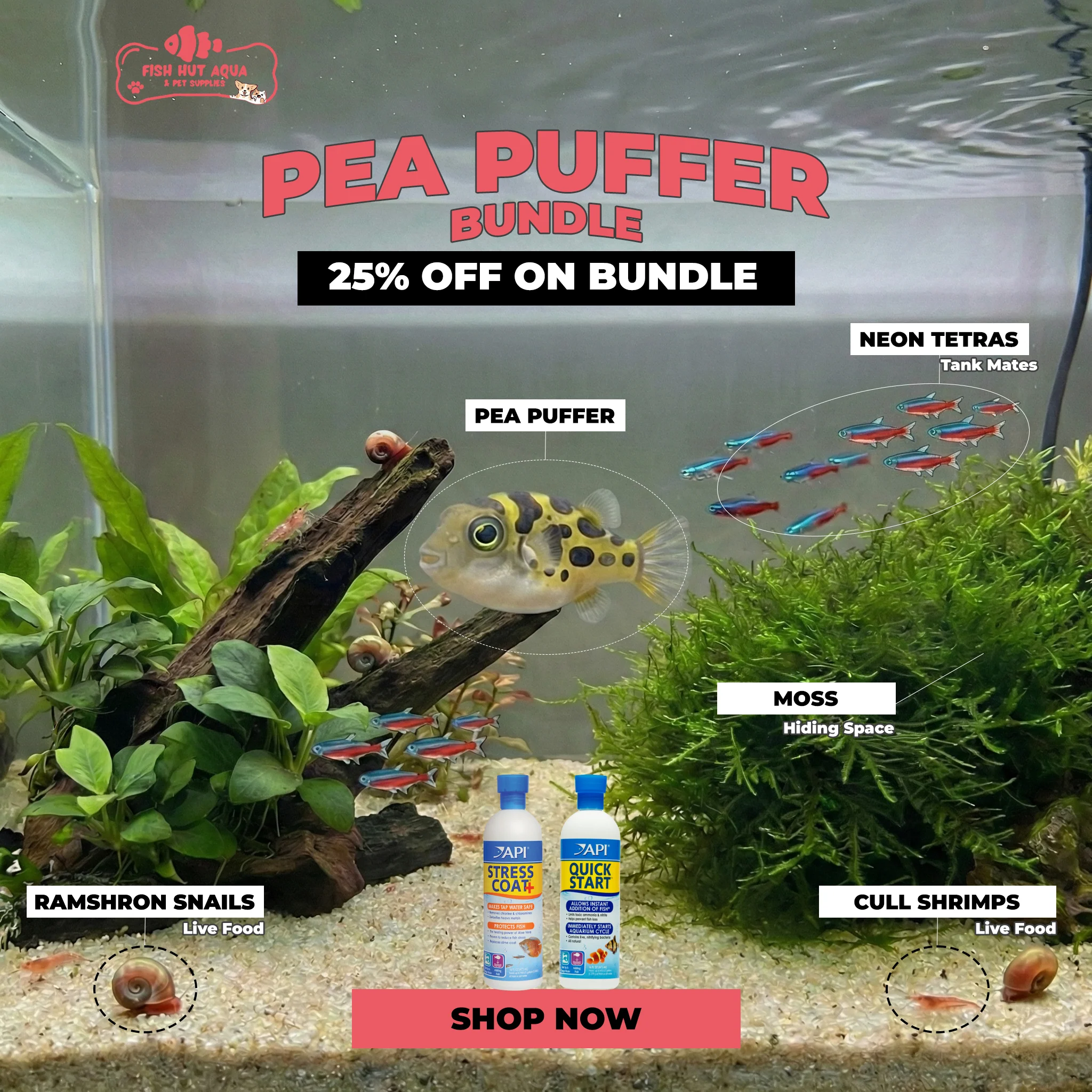 See What's On Sale